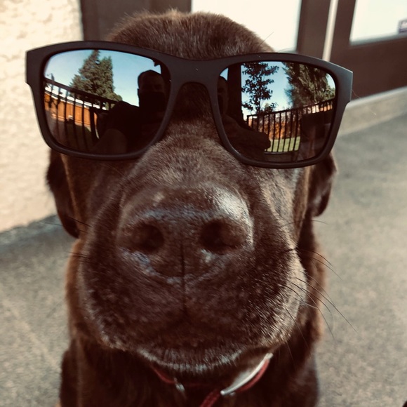 Meet your Posher, Lauren - Picture 1 of 1